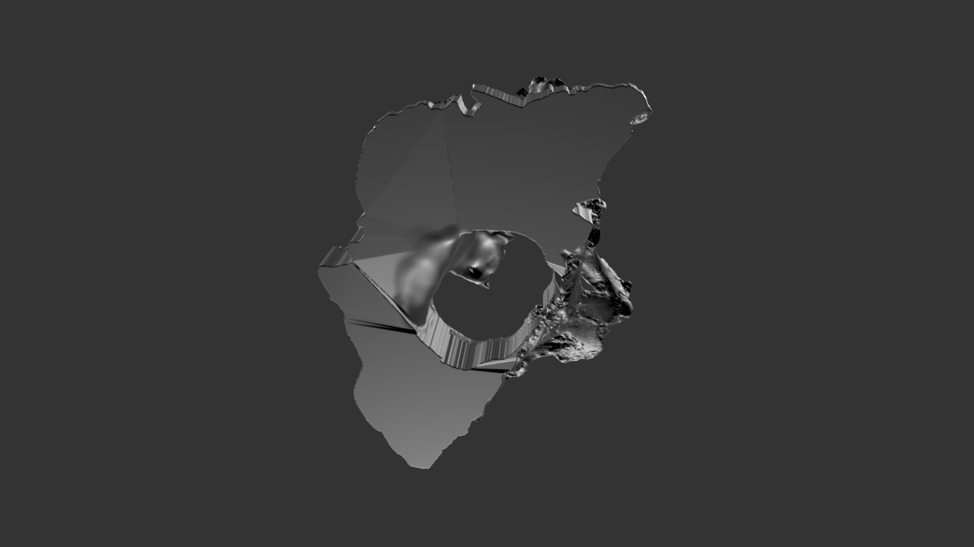 Mammut pacificus pelvis