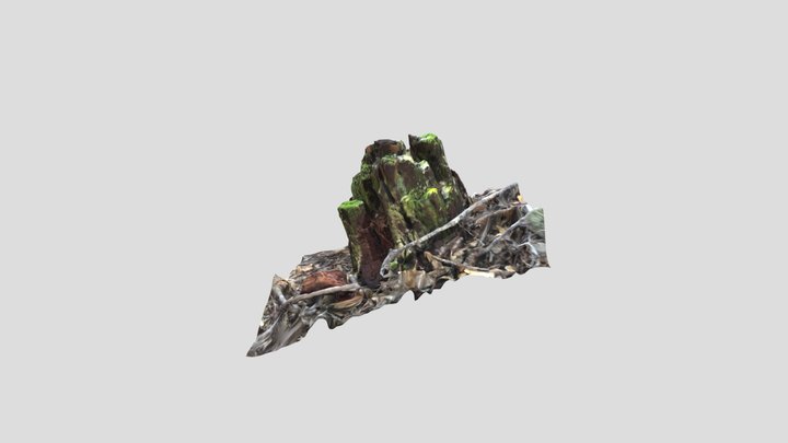 susami3 3D Model
