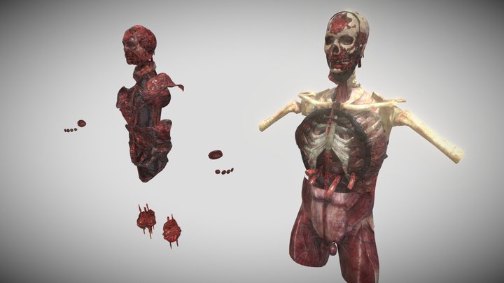 gib2 3D Model