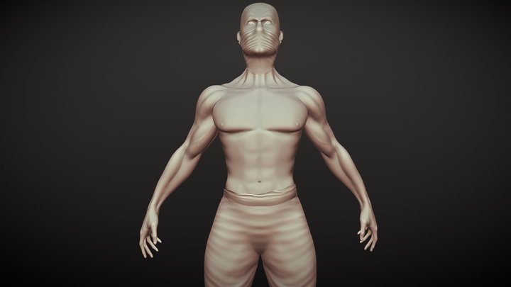 S. Body 3D Model