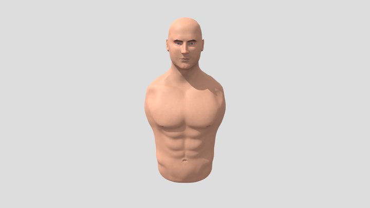 Male Torso #1 3D Model