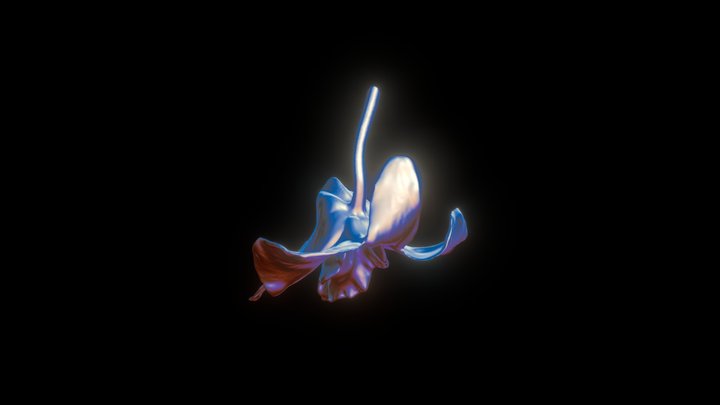 Orch 3D Model