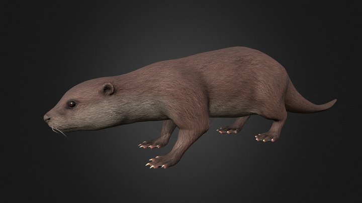 Otter 3D Model