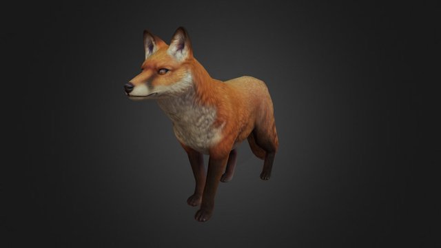 Canine Group: Red Fox 3D Model