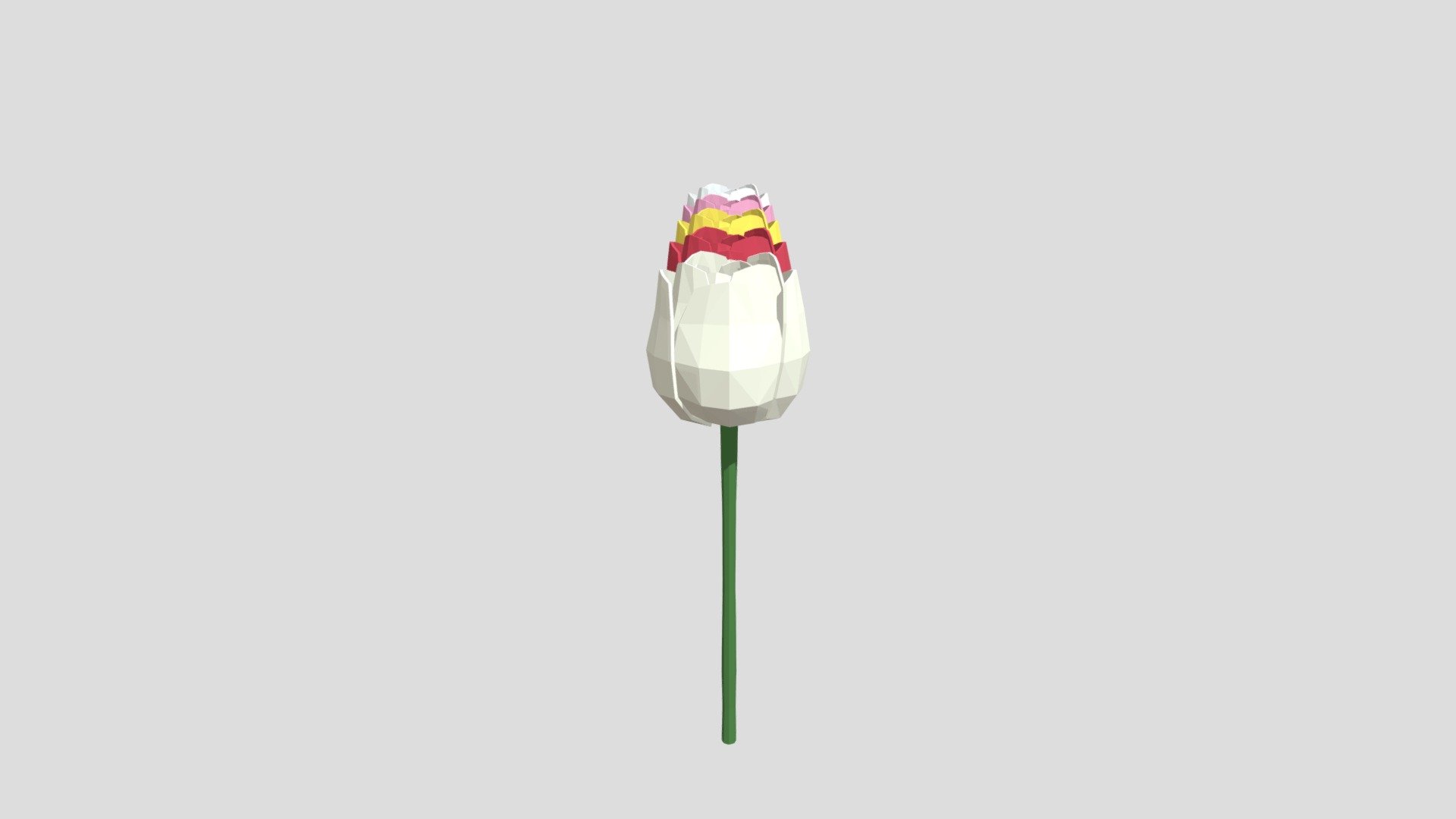 Tulips from Poly by Google