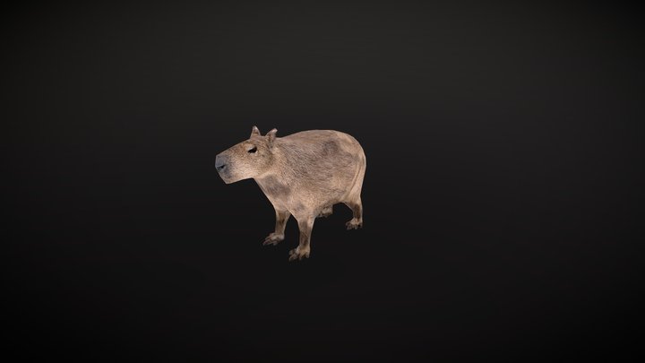 Lowpoly capybara for mobile game 3D Model