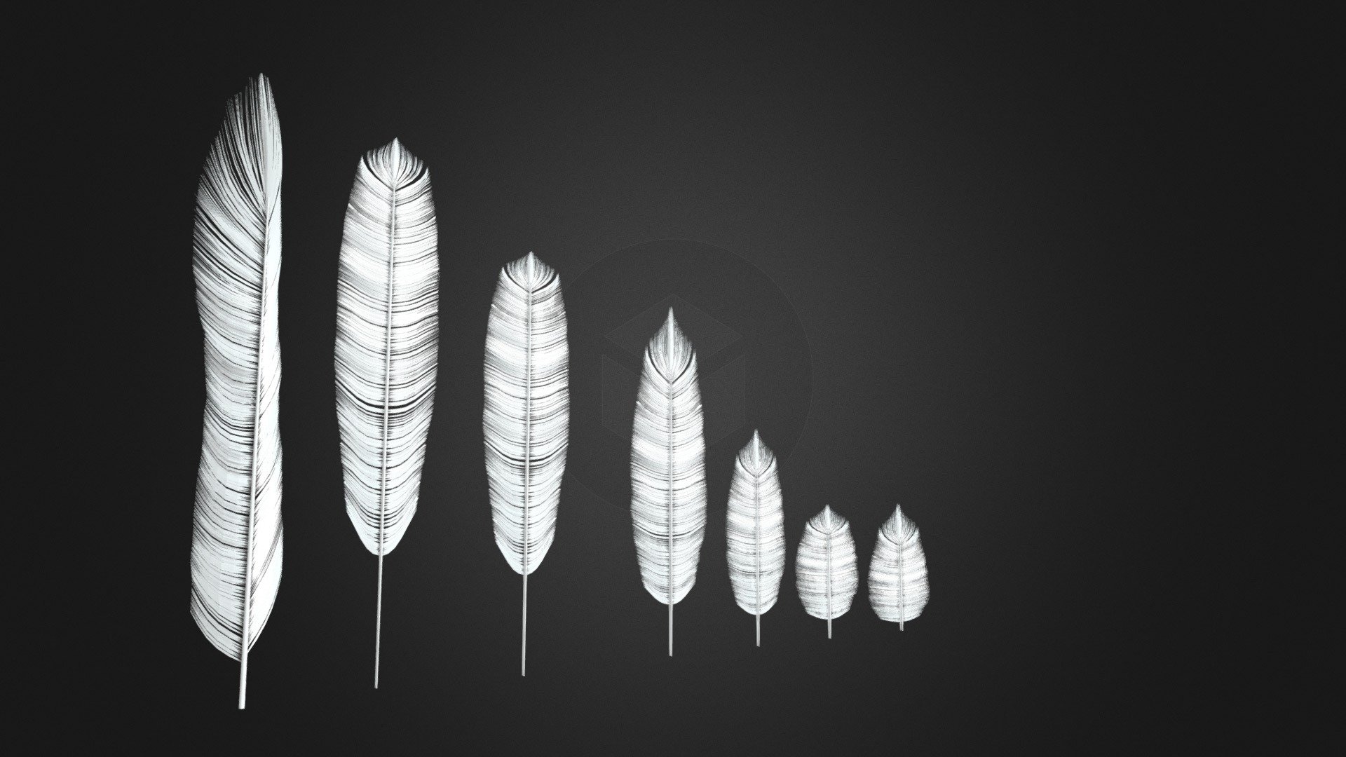 Feathers High Poly - Download Free 3D model by Richi_n12 (@Richi11 ...