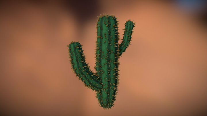 Cactus 2 3D Model