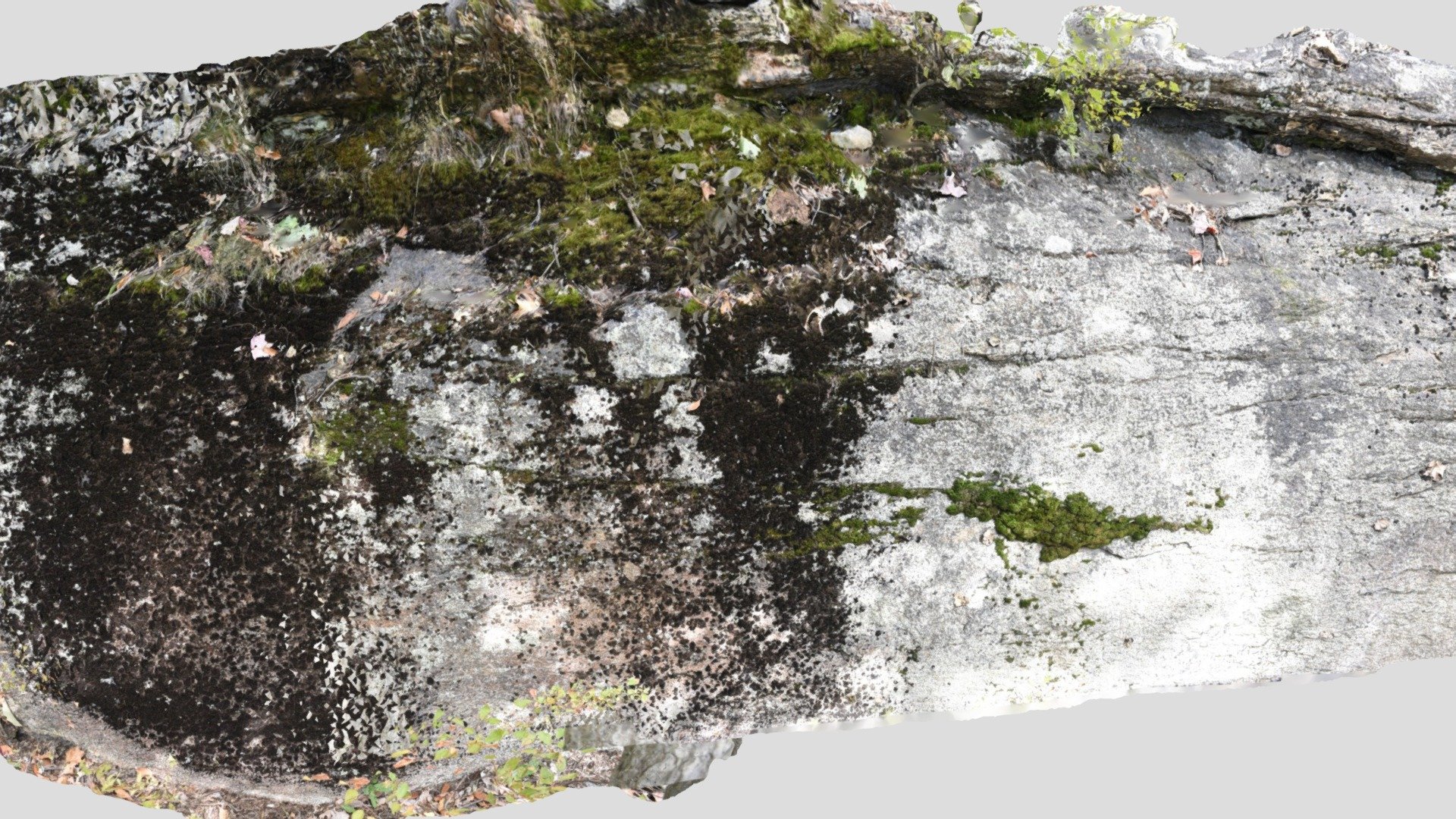 190924_bear_mountain_at_ledge
