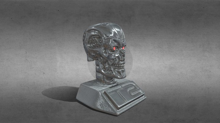 T2 Scan: Space Spider 3D Model