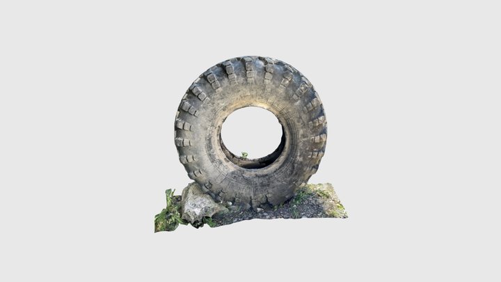 Wheels 3D Model