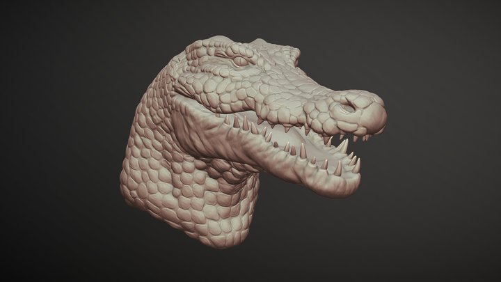 Crocodile Humanoid Head 3D Model