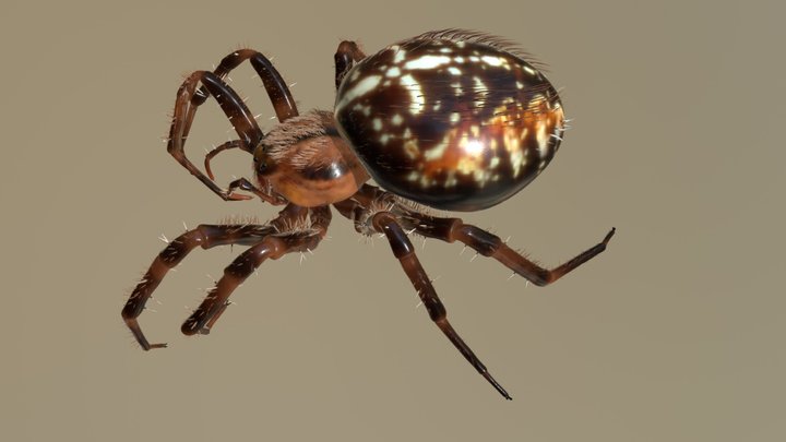 My Sketchfab Mesh 3D Model