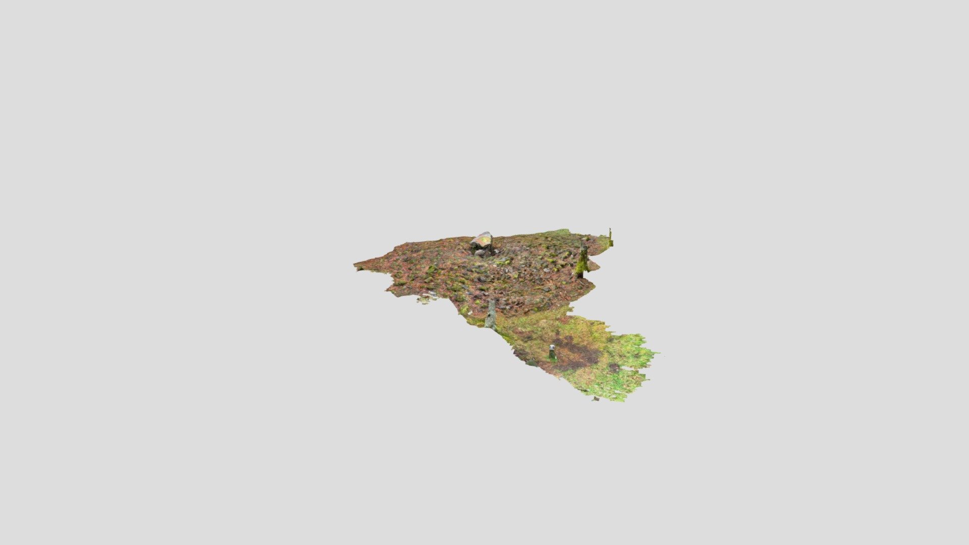Agerregoena