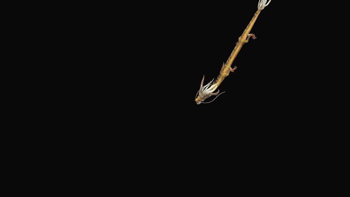Chinese DragonLong 3D Model