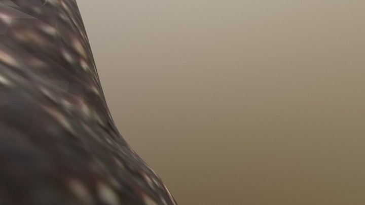 Gato 3D Model