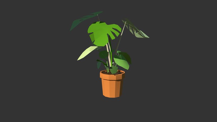 Split Leaf Philodendron 3D Model