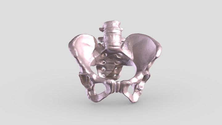 Bones