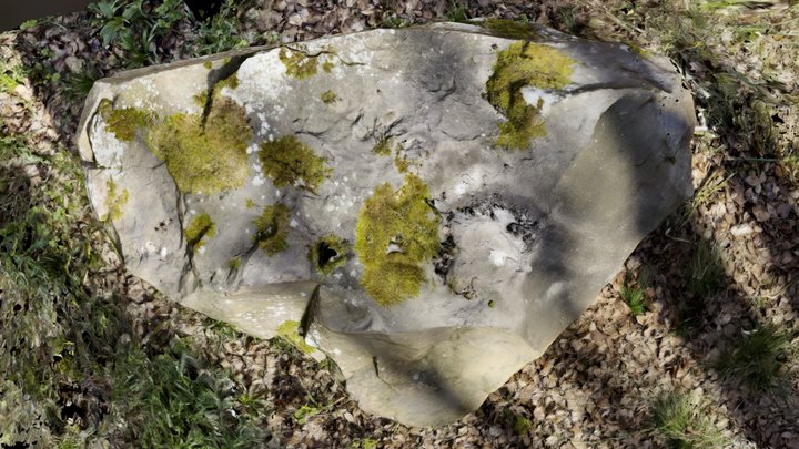West Woods 27 – Free 3D Model STL