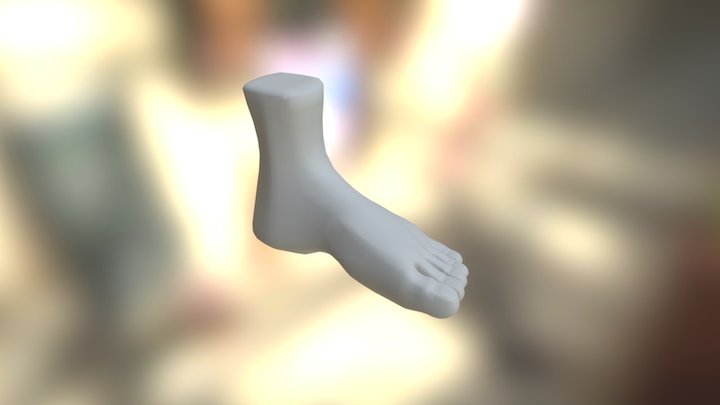 Foot 3D Model