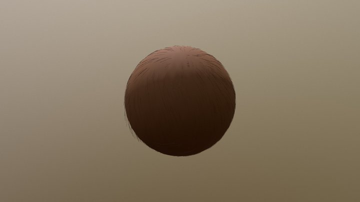 Hairy Coconut 3D Model