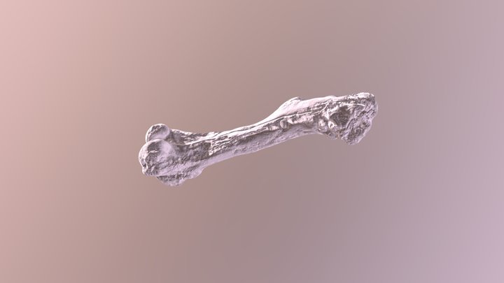 יום ב_ינו_28_10_41_54_2019_GMT_obj 3D Model