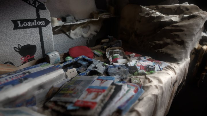 My Brother's Bed (aka his Museum) 3D Model
