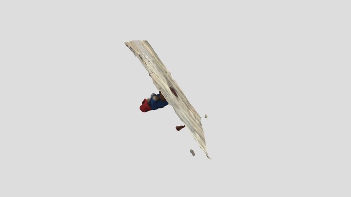Jingjing_ye_photogrammetry_Paddington 3D Model