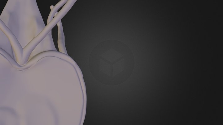 giardia 3D Model