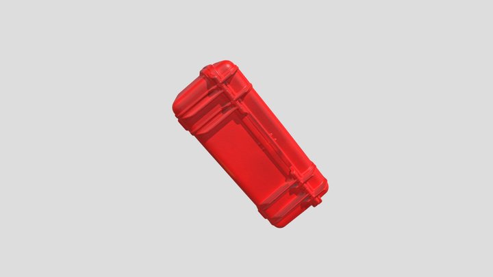 Case2 3D Model