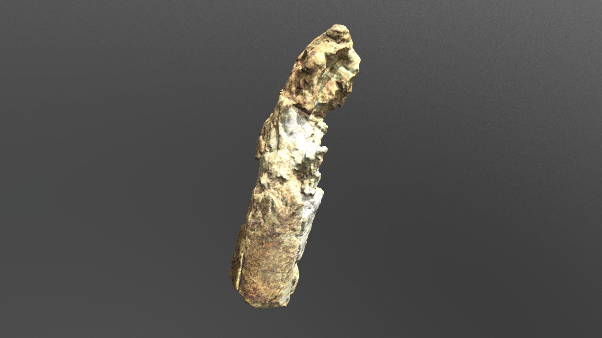 Smilodon Proximal Femur Frag (VCU_3D_3104)