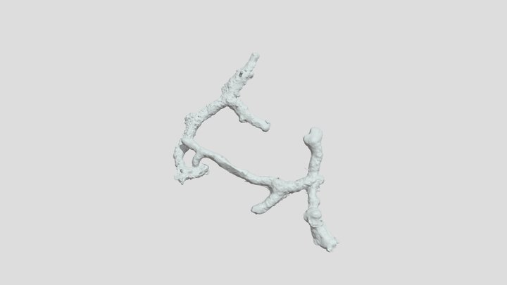 Tympanoctomys barrerae 728-2 Zbrush 3D Model