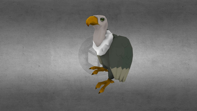 Vigilant Vulture 3D Model