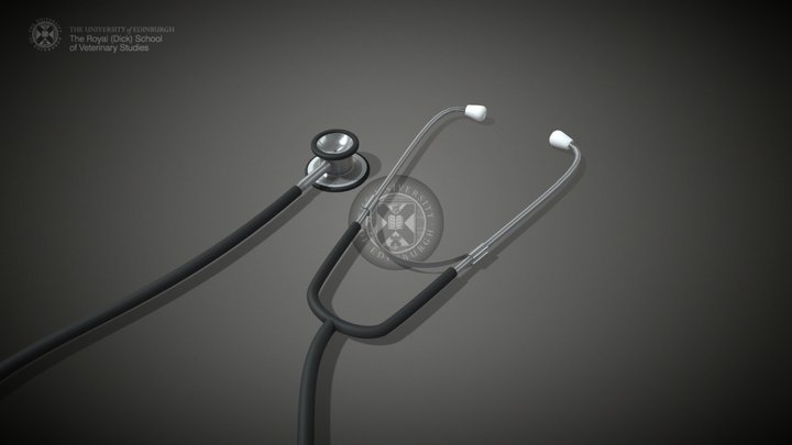 Stethoscope 3D Model