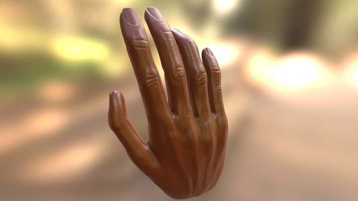 Hand 3D Model