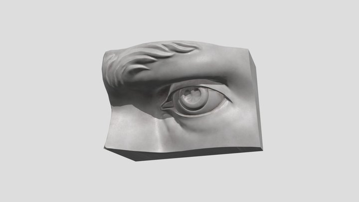 Eye (plaster cast) 3D Model