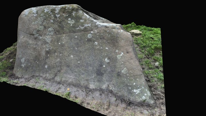 Kilcarrig Rock Art (CW016)