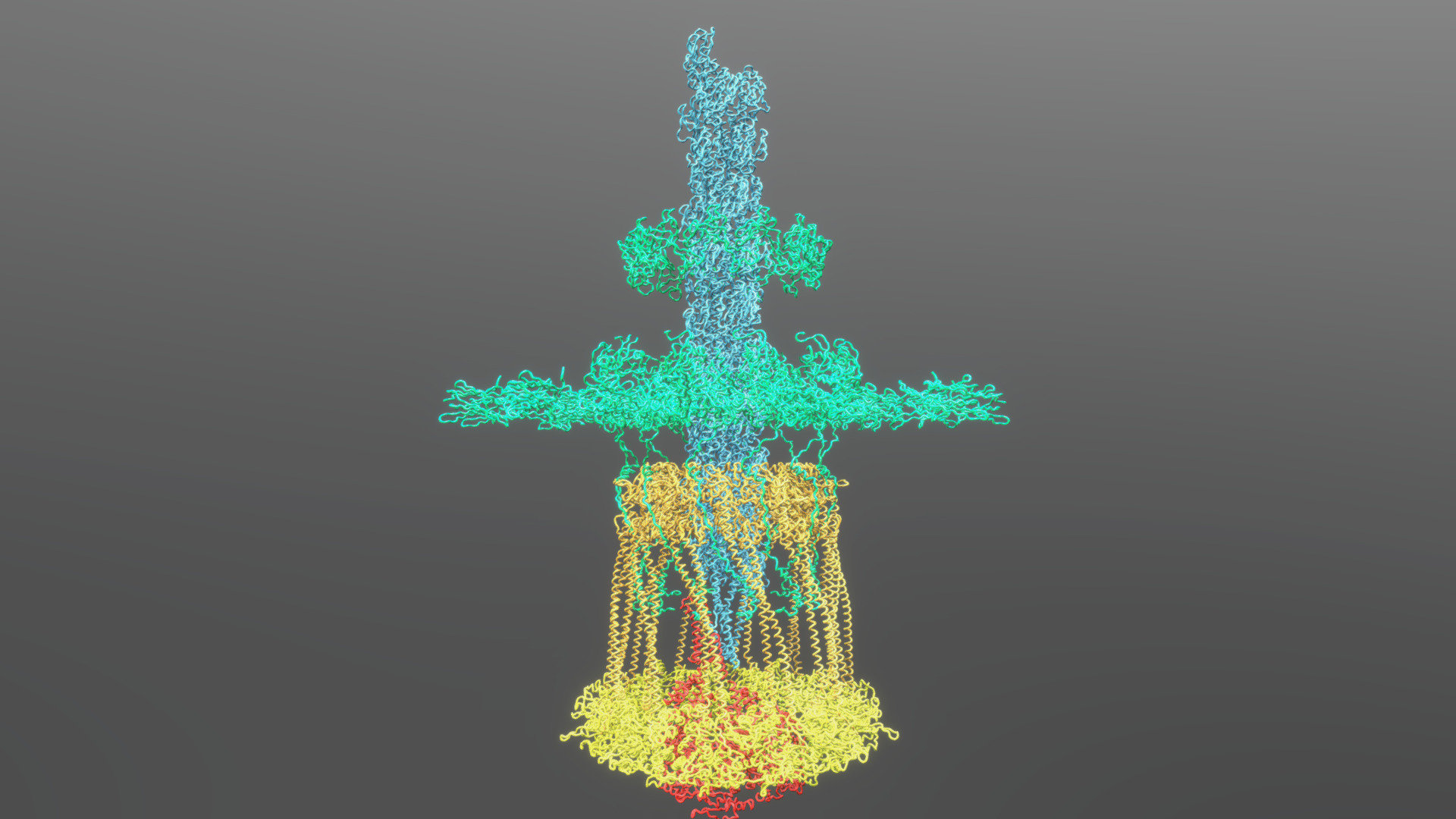 Pilus Machine