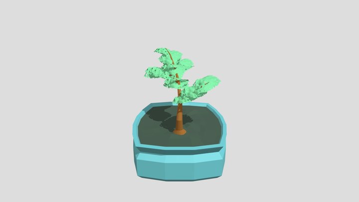 Bonsai 3D Model