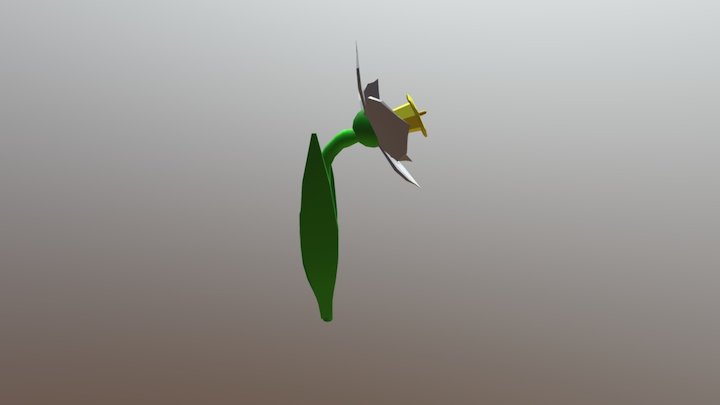Daffodil 3D Model