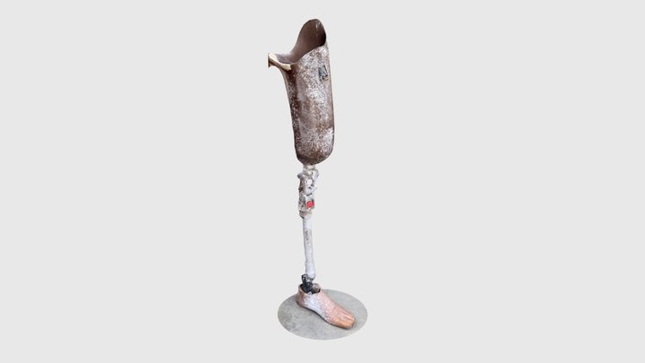 Prosthetic Leg Scan 3D Model