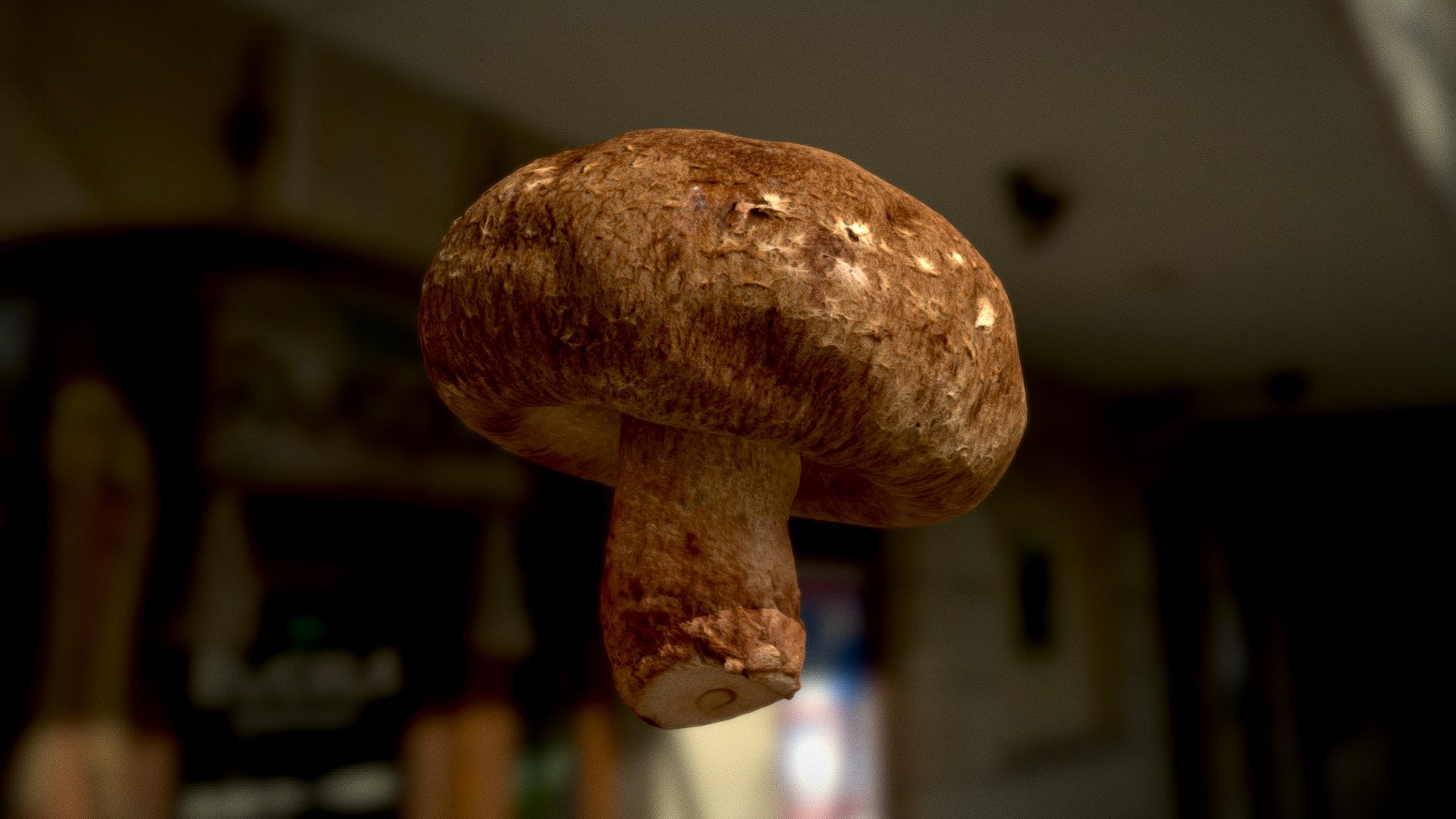 shiitake mushroom (3D Scan)