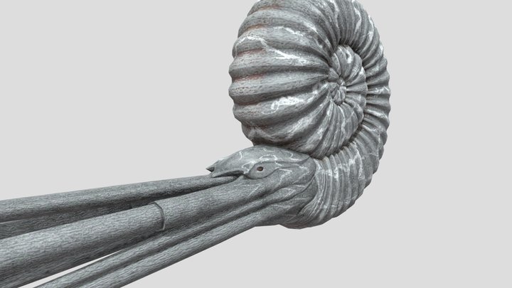 Ammonite – Free 3D Model STL