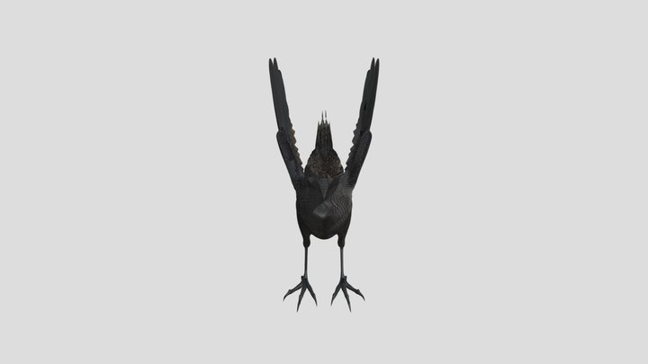A yellow bird with wings 3D Model