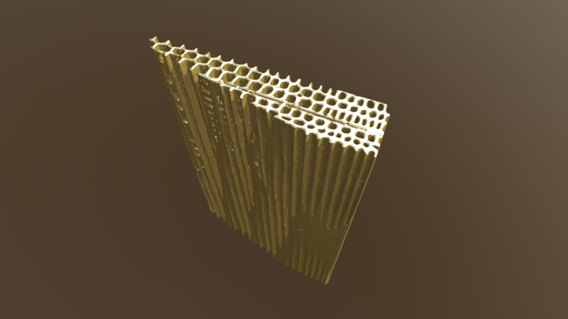 Softwood microstructure - 3D model by FlyingQuercus [039c480] - Sketchfab