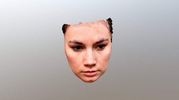 Face 3D Model