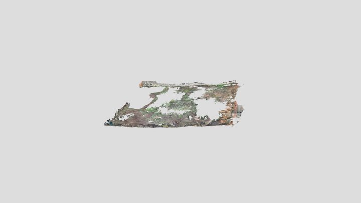 Untitled Scan 3D Model