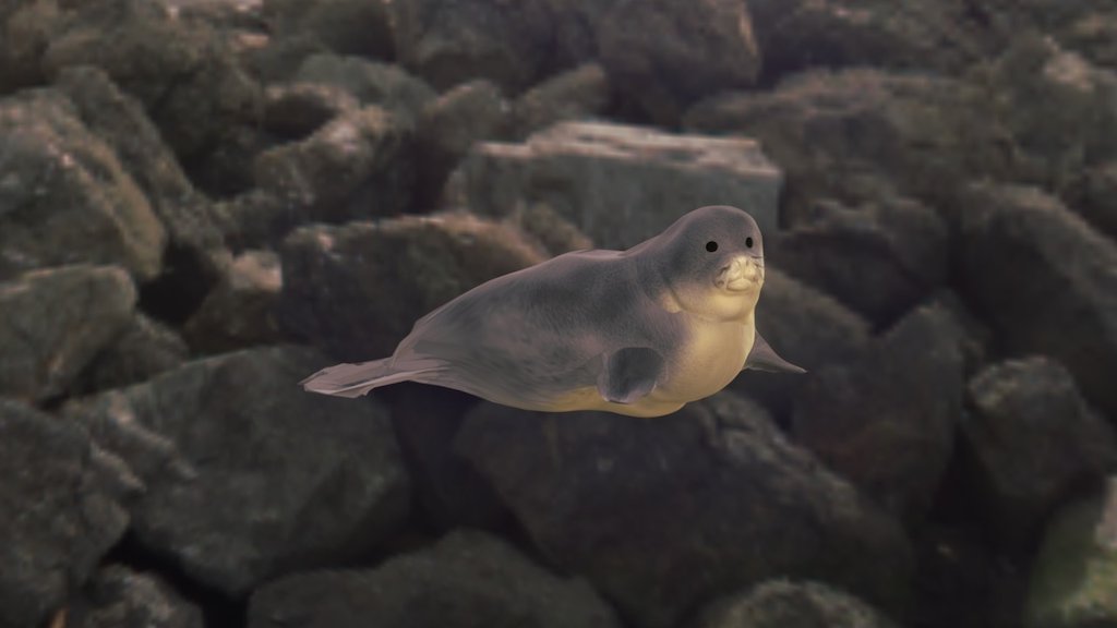modelofmonkseal