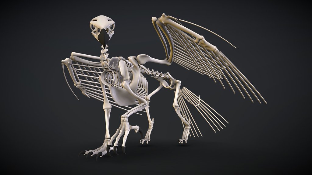 Gryphon Skeleton