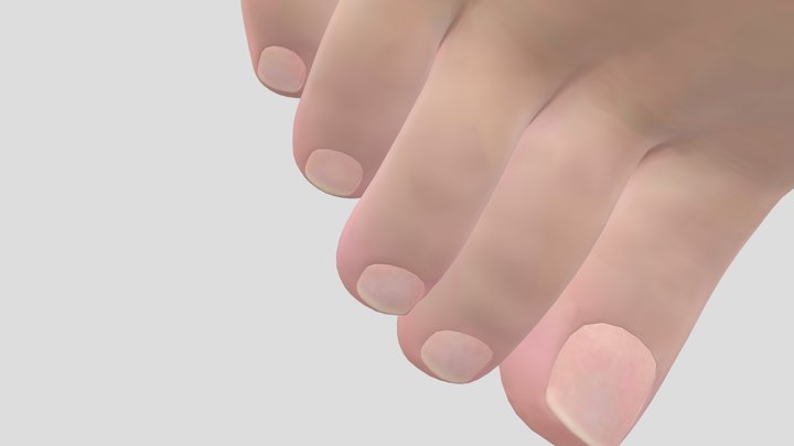 quicklook-DFEE1795-65E6-403E-98B8-E9C90294C4E0 3D Model